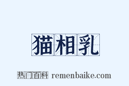 猫相乳是什么意思的图片